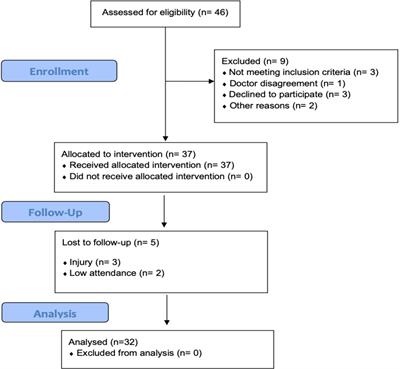 Nordic Walking training in BungyPump form improves cognitive functions and physical performance and induces changes in amino acids and kynurenine profiles in older adults